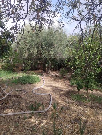 Terreno in vendita a Siracusa, Belvedere - Foto 16
