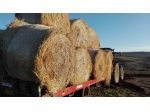 FIENO E PAGLIA IN ROTOBALLE