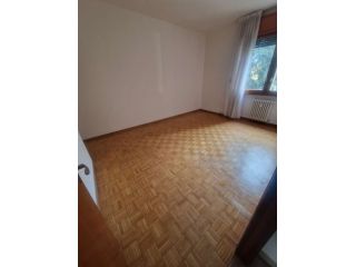 Stanza singola 390 euro libera subito
