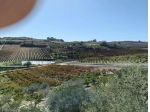 Terreno in vendita a Caltagirone