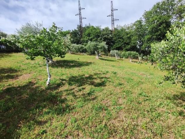 Area verde in vendita a Fonte Nuova - Foto 17
