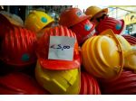 Caschi da Cantiere – 24525