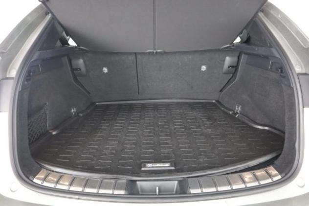 LEXUS NX NX Plug-in 4WD F-Sport rif. 24043075 - Foto 6