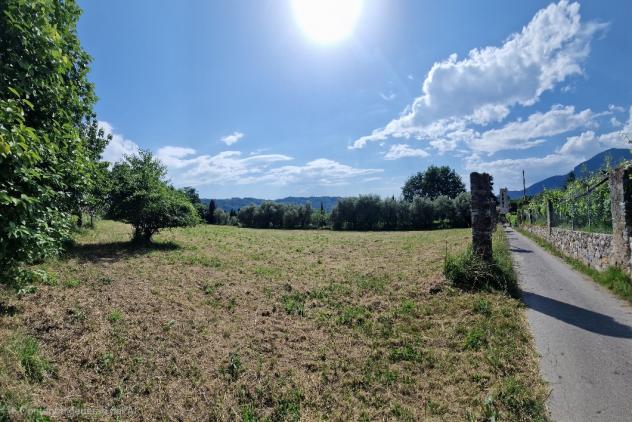TERRENO AGRICOLO di 10000 mq (CAMAIORE - pieve di camaiore) rif. 1001