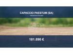 Immobile in asta di 25300 m² in vendita a Capaccio Paestum