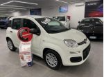 FIAT Pandina 1.0 Hybrid Pop KM0 MY 26 rif. 24133792