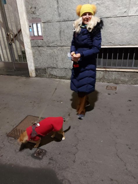 Servizio di Dog Sitter Offresi - Foto 3