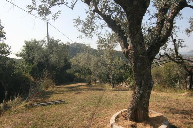 Colonica in vendita a Casano - Luni 300 mq Rif: 1286037 - Foto 8