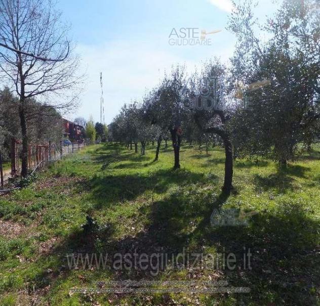 IMMOBILI-ALTRA CATEGORIA-Via Jugoslavia, 03011 Alatri FR, Italia, - Foto 6