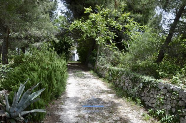 Casale in vendita a Ostuni - Foto 11