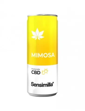 Mimosa - Foto 2