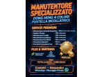 Manutentore specializzato dong heng 4 colori più fustella