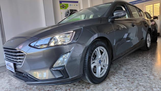 Ford Focus 1.5 EcoBlue 120 CV automatico SW Business Co-Pilot