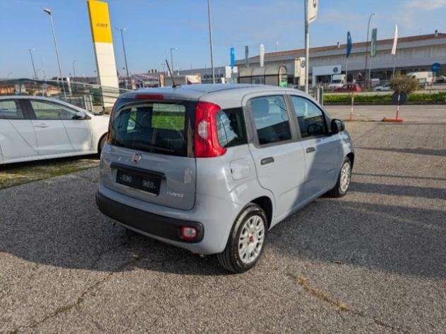 FIAT Panda 1.0 FireFly S&S Hybrid rif. 23837054 - Foto 3