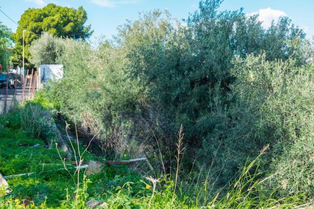 Terreno Edificabile in vendita a Misterbianco - Foto 12