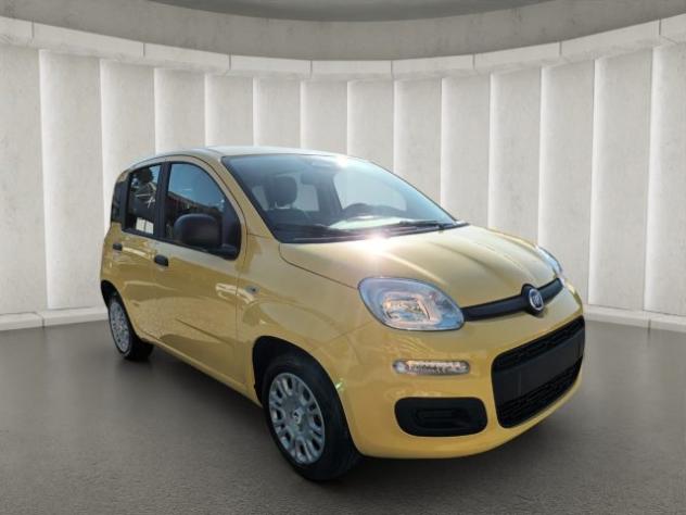 FIAT New Panda 1000 HYBRID 70 CV PDC ITALIA rif. 24122538 - Foto 3