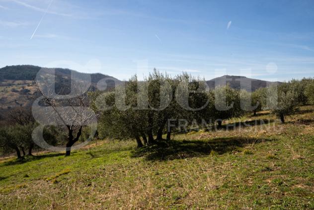 Rustico/Casale/Corte - Assisi . Rif.: 2026/009 AVCG - Foto 5