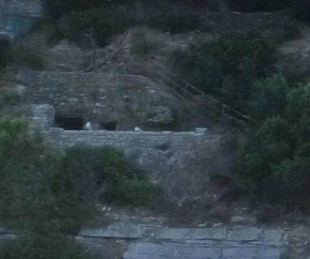 Immobile in asta di 110 m² con più di 5 locali in vendita a Portovenere - Foto 10