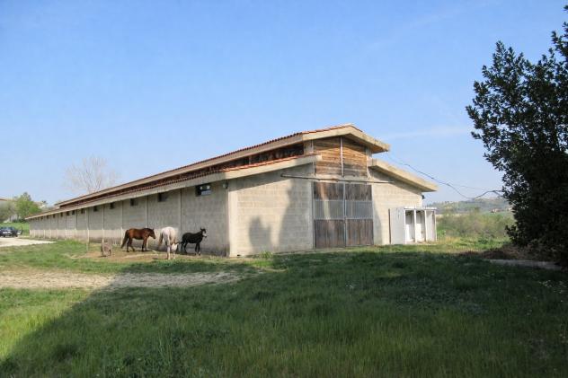 Casa di campagna in Degli Olmi - Foto 13