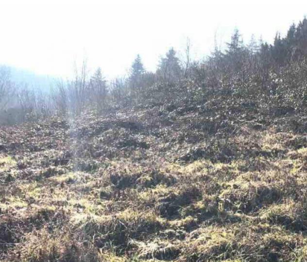 Immobile in asta di 2 m² in vendita a Gazzola - Foto 6