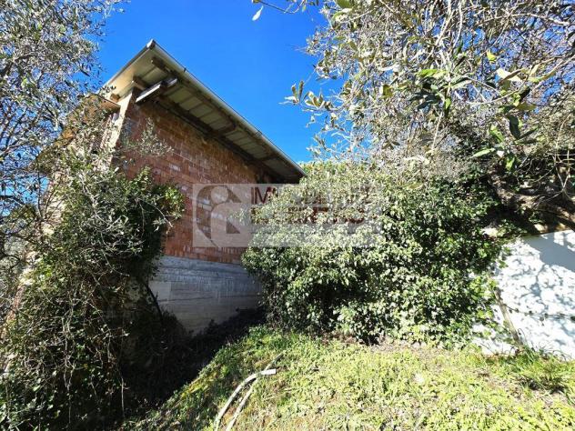 TERRENO AGRICOLO CON RICOVERO ATTREZZI - Foto 4