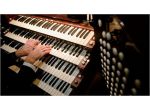 Organista per matrimoni e cerimonie