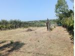 Lanuvio