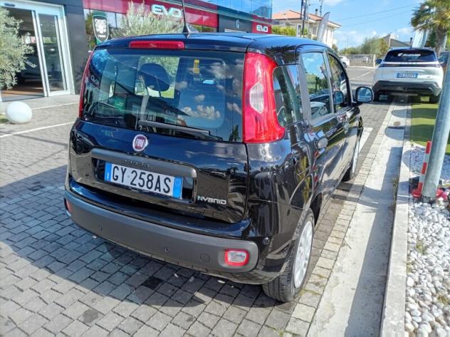 FIAT Panda 3ª serie Panda 1.0 FireFly S&S Hybrid - Foto 2
