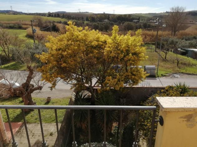 Appartamento in vendita a Rosignano Marittimo 60 mq Rif: 1325042 - Foto 9