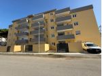 Bilocale in affitto a Nettuno