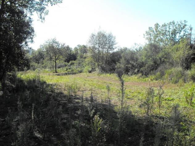 Agricolo in Via Salicuneta - Foto 5