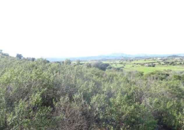 Immobile in asta di 258216 m² in vendita a Loiri Porto San Paolo - Foto 4