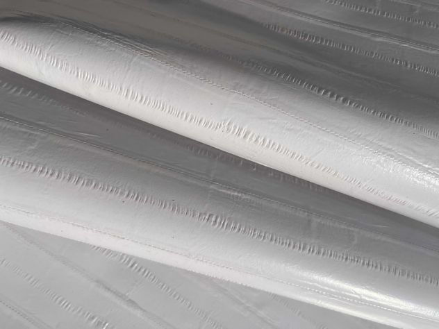 K23 Pelle di vitello stampa Anguilla bianco panna