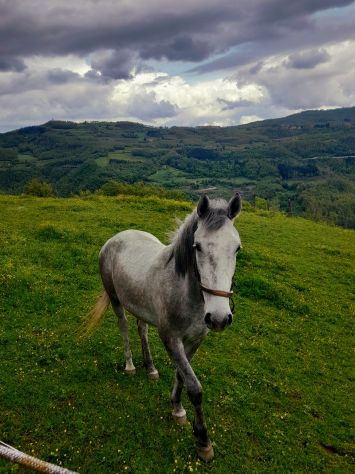 A cavallo! - Foto 2
