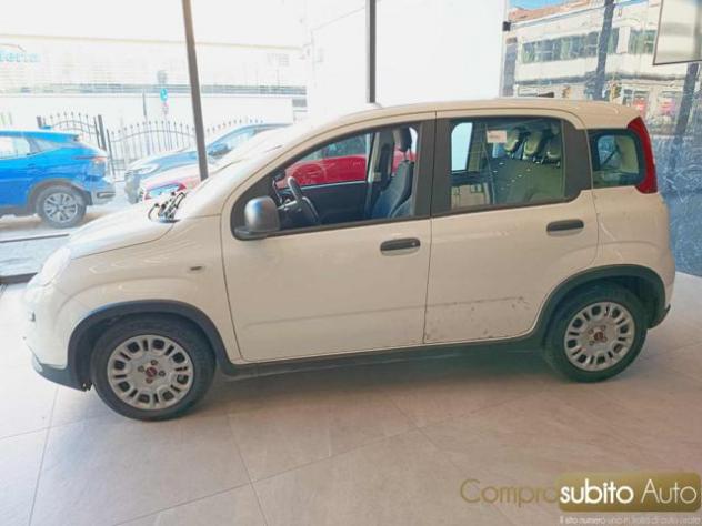 FIAT Panda 1.0 FireFly S&S Hybrid rif. 24055312 - Foto 7