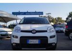 FIAT Panda 1.0 FireFly S&S Hybrid rif. 23994610