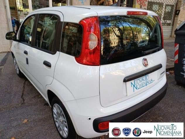 FIAT Panda Pandina 1.0 FireFly S&S Hybrid Icon Km0 rif. 24008353 - Foto 9