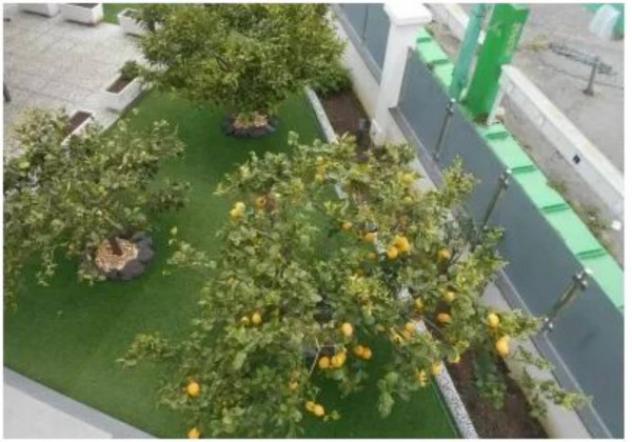 Immobile in asta di 195 m² in vendita a Villafranca Tirrena - Foto 8