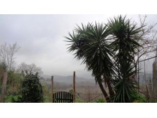 Appartamento in affitto a Palaia 35 mq Rif: 743498
