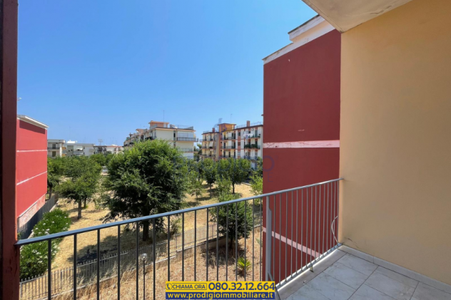 Ampio appartamento con cantinola in vendita in zona Levante a Molfetta - Foto 5