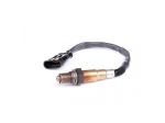Bosch 'Renegade 281004458