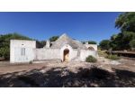 Uliveto in vendita a Ostuni
