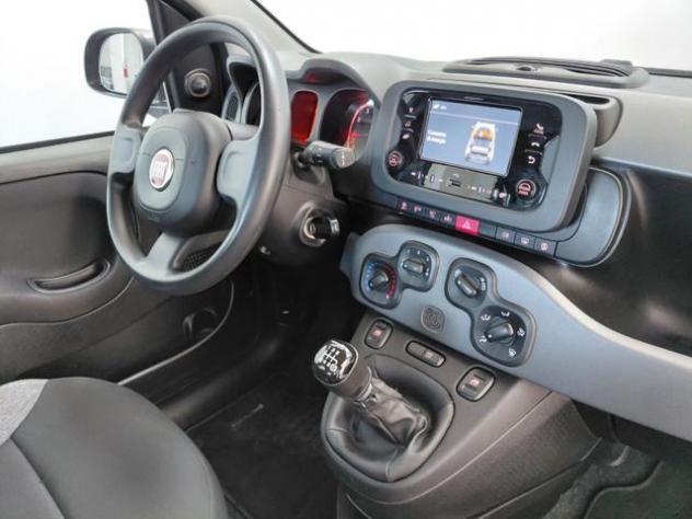 FIAT Panda 1.0 FireFly Hybrid City Life rif. 23806752 - Foto 2