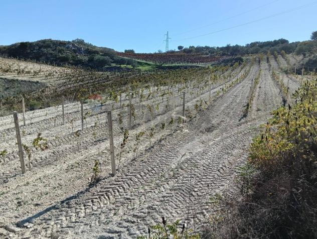 Terreno in vendita a Caltagirone - Foto 7