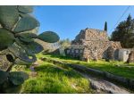 Pajara con vista panoramica su Gallipoli e 8000 mq. di terreno