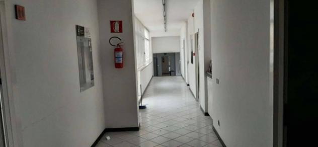 Immobile in asta di 7629 m² in vendita a Loreto - Foto 8