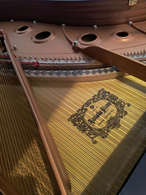 Pianoforte Yamaha C3 X ex demo con trasporto e panca inclusi - Foto 3