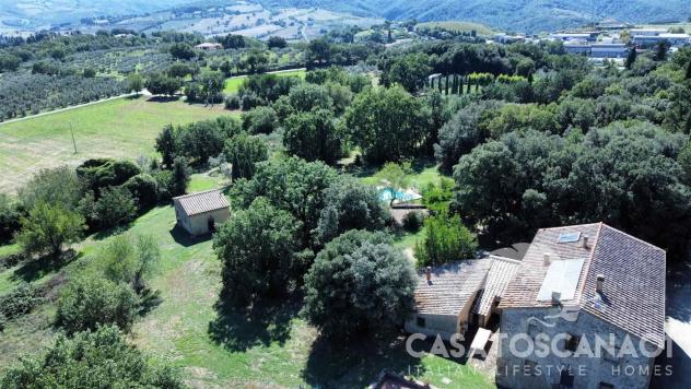 Vendita Rustico casale da 448 mq con giardino