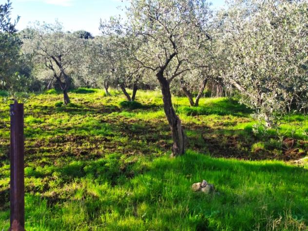 SASSARI LOCALITA' LA LANDRIGGA - Foto 9