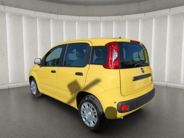 FIAT New Panda 1000 HYBRID 70 CV PDC ITALIA rif. 24122538 - Foto 4